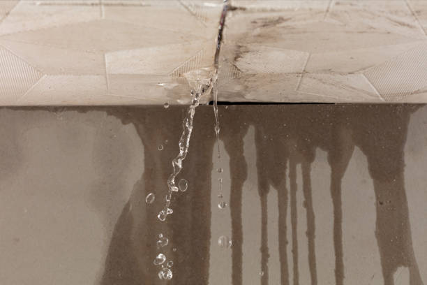 Professional Burst Pipe Cleanup technician working in Searsport, ME